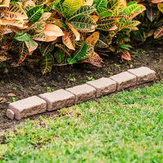 a brick walkway in the grass next to some bushes