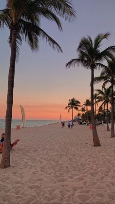 palm trees line the beach at sunset with people walking and sitting in the sunbathers