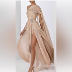 Haute Couture Zuhair Murad Silk Champagne Blush Dress Worn Once. Ready To Wear, Dry Cleaned Chiffon Gown Styles, Zuhair Murad Dresses, Zuhair Murad Haute Couture, Glamorous Evening Dresses, Mother Of Bride Outfits, Tarik Ediz, Exquisite Gowns, Corset Fashion, Blush Dresses