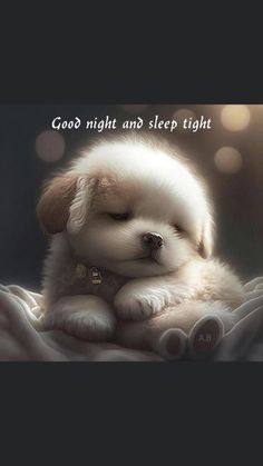 a small white dog laying on top of a bed next to a quote that says, good night and sleep tight