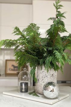 a white vase filled with green plants on top of a counter next to a mirror ball