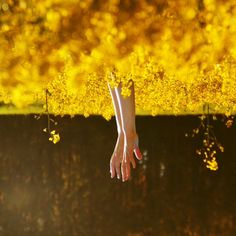 a person's hand reaching up into the air above water with yellow trees in the background