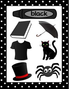 a black and white photo with various items on it, including an umbrella, hat, spider