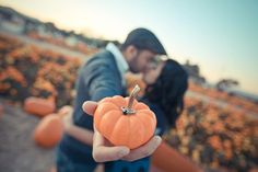 a man and woman kissing while holding pumpkins