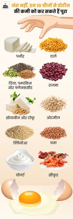 different types of food are shown in this graphic diagram, including eggs and rices