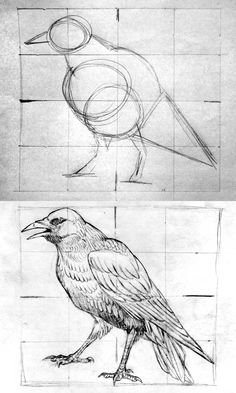 two drawings of birds sitting on top of each other