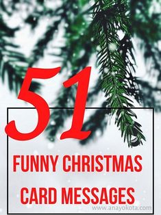 the number 51 funny christmas card messages are in red and white, with pine branches