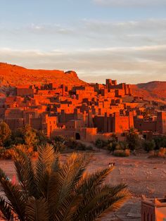 an orange village in the desert with palm trees