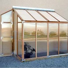 a glass house with a reflection of a dog in it