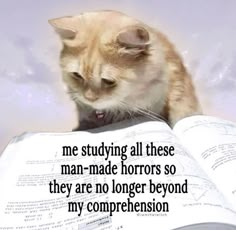 a cat sitting on top of an open book with the caption me studying all these man - made horrors so they are no longer beyond my comparison