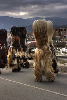 some very cute furry dogs walking down the street together in costume with mountains in the background