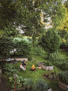 two people sitting around a fire pit in the middle of a green yard surrounded by trees