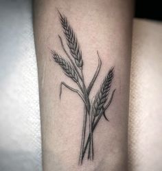 a black and white photo of two stalks of wheat on the left forearm tattoo design