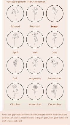 an info sheet with different types of flowers