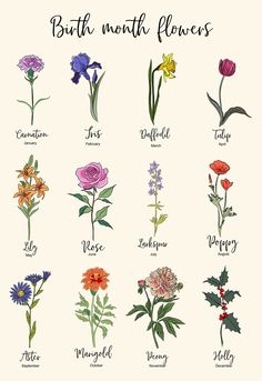 a bunch of flowers that are on a white background with the words, birth month flowers