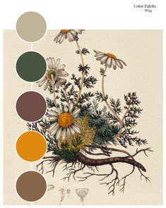 an image of flowers and plants with color palettes on the bottom right hand corner