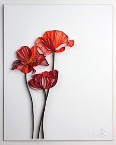 three red flowers on a white background are cut out from paper and placed in a square frame