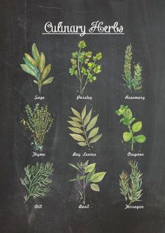 a chalk board with different herbs on it