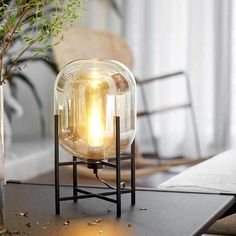 a glass table lamp sitting on top of a wooden table next to a potted plant