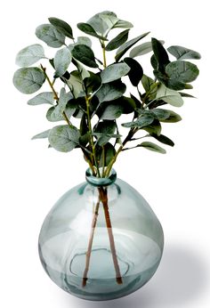 a vase with some green leaves in it