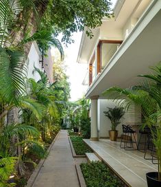 the walkway is lined with plants and potted trees