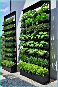 an outdoor vertical garden with plants growing on the sides and in black planters next to each other