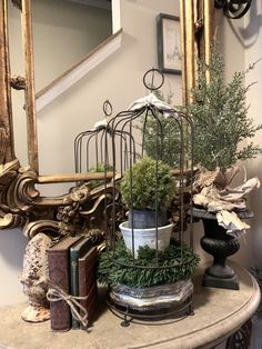 a birdcage filled with potted plants on top of a table next to a mirror