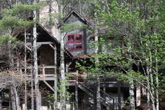 a house in the woods surrounded by trees