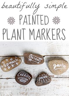 painted rocks with words on them that read beautiful simple painted plant markers, and the text is