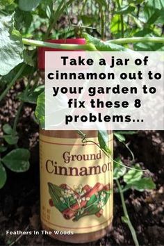 there is a sign that says take a jar of cinnamon out to your garden to fix these 8 problems