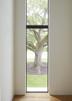 an open door leading to a tree in the middle of a room with white walls