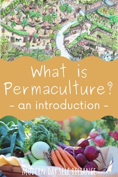 what is permaculture? an instruction for beginners to learn how to use it