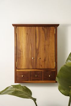 a wooden cabinet mounted to the side of a wall next to a potted plant