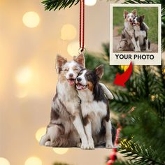 two dogs hanging from a christmas tree ornament