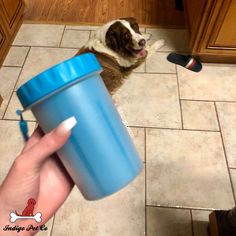 a dog is sitting on the kitchen floor next to a person holding a blue cup