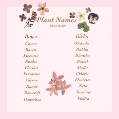 a pink and white flowered plant name sheet with flowers on it's side