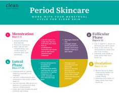 Menstrual Cycle Routine, Menstrual Syncing, Menstrual Cycle Diagram, Menstrual Cycling, Hormone Phases, 4 Cycles Of Menstrual Cycle, Cycle Skin Care, Menstrual Cycle Syncing, How To Track Your Period