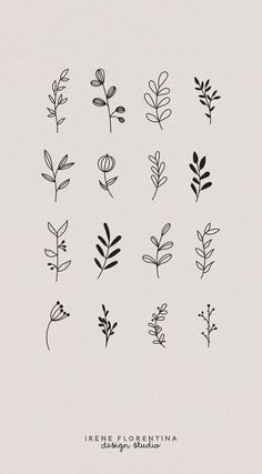 different types of plants drawn in ink on paper