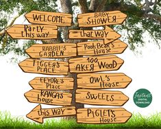 a wooden sign pointing in different directions on a tree with the words welcome and baby shower