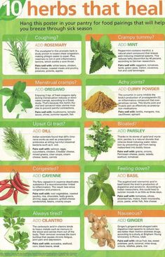 the 10 herbs that heal poster is shown in green, orange and red colors with instructions to