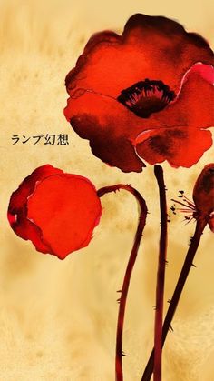 two red flowers with japanese writing on the bottom and one flower is in front of an orange background