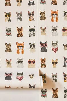 the wallpaper has many different cats on it, including one with sunglasses and tie