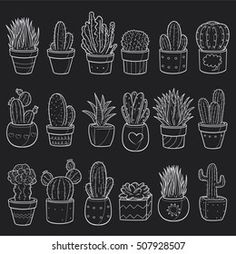 hand drawn cactuses and succulents