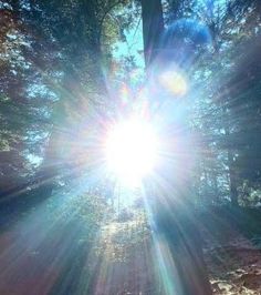 the sun is shining through the trees in the woods