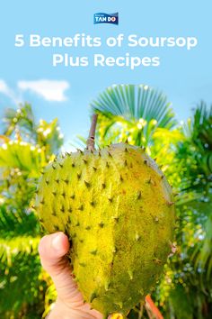 Soursop benefits for your health plus soursop recipes. Soursop Recipes, How To Make Smoothies, South Central, Life Expectancy