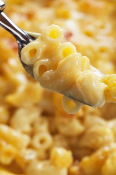 a spoon full of macaroni and cheese is being held up by a fork