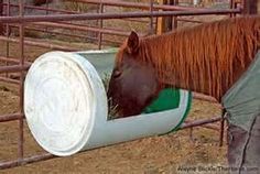 a brown horse eating hay out of a plastic container on top of a metal fence