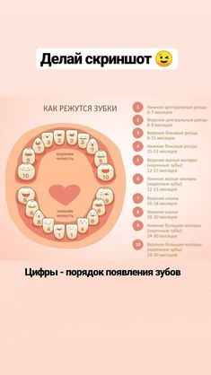 an info sheet showing the teeth and gums in different languages, with instructions on how to use them