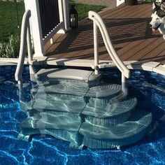 a dog jumping into a swimming pool with stairs