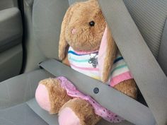 a stuffed rabbit in the back seat of a car with a pink and blue striped shirt